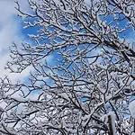 Zajcek Apartma * Mojstrana