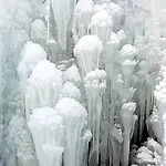 Zajcek Apartma * Mojstrana