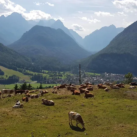 Zajcek Apartma Appartement Mojstrana