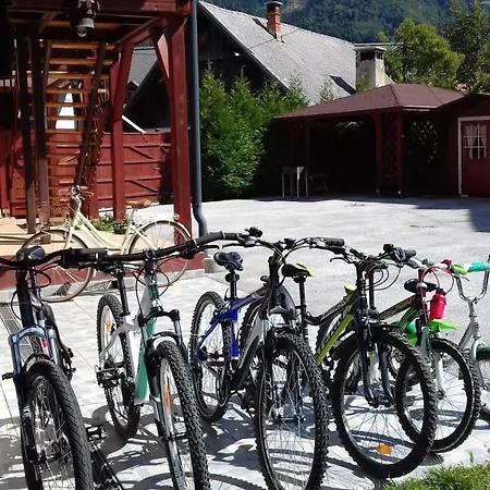 Apartment Zajcek Apartma