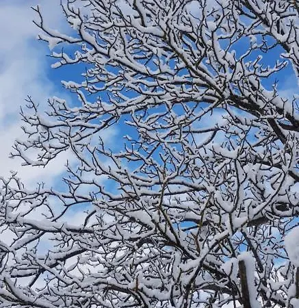 Zajcek Apartma * Mojstrana