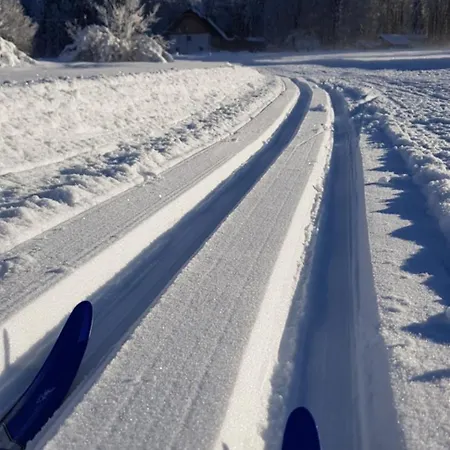 Apartment Zajcek Apartma *