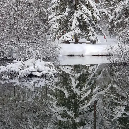 Zajcek Apartma Mojstrana
