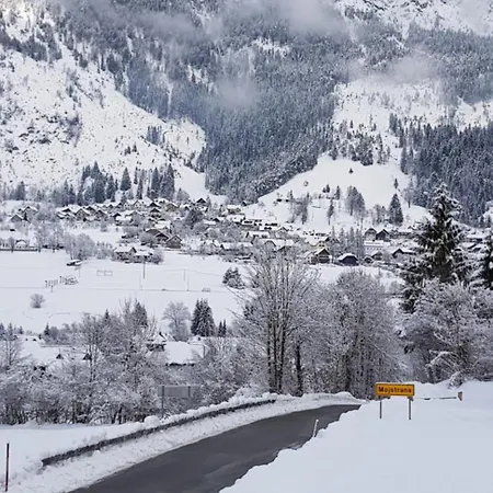 Apartment Zajcek Apartma