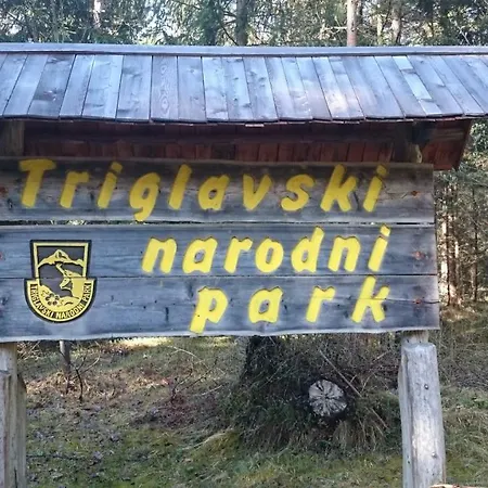 Zajcek Apartma Apartamento *