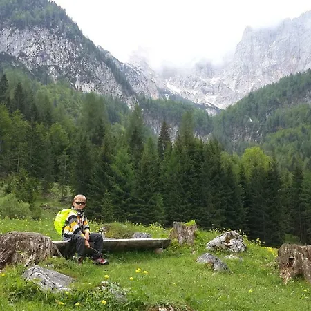 Zajcek Apartma Mojstrana