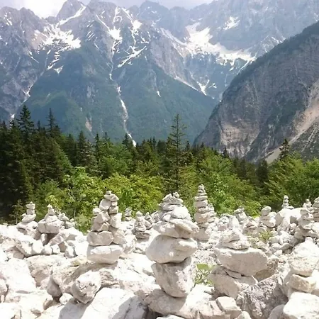 Zajcek Apartma