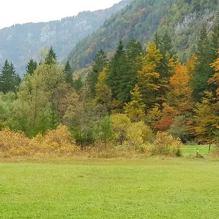 Appartement Zajcek Apartma *