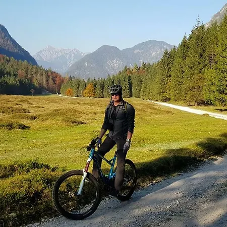 Zajcek Apartma Apartment *