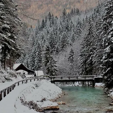 Zajcek Apartma * Mojstrana