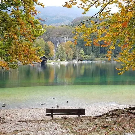 Apartma Zajcek Apartma *