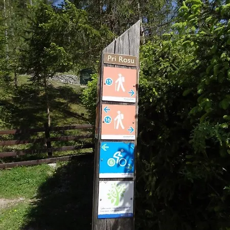 Apartma Zajcek Apartma