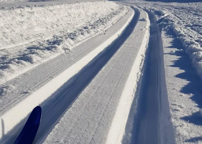 شقة Zajcek Apartma *