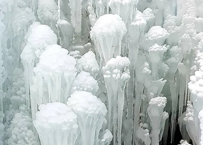 Zajcek Apartma * Mojstrana