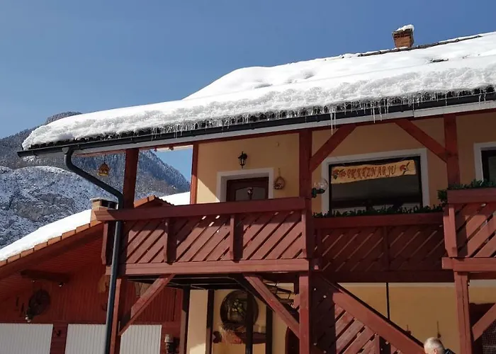 Zajcek Apartma شقة *