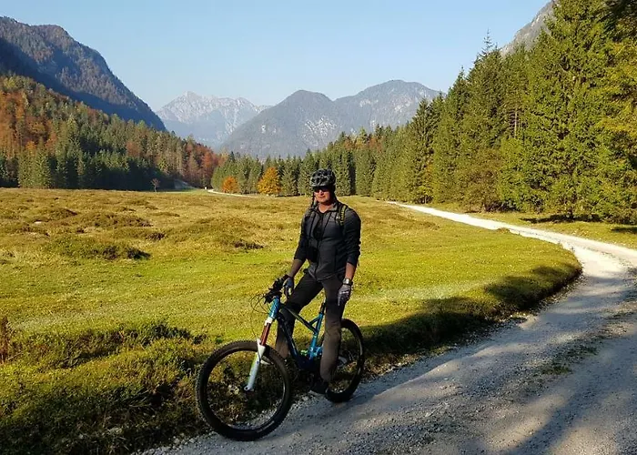 Zajcek Apartma شقة *