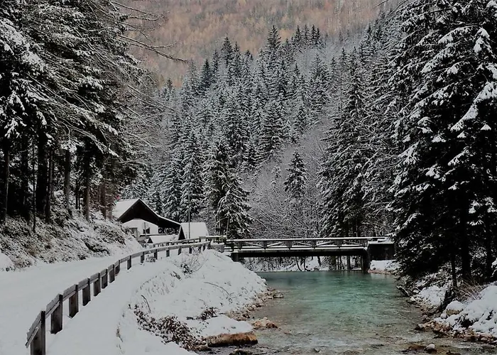 Zajcek Apartma * موجسترانا