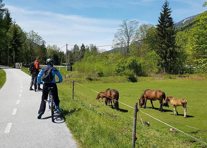 Zajcek Apartma موجسترانا
